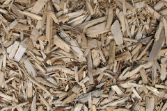biomass boilers Girvan